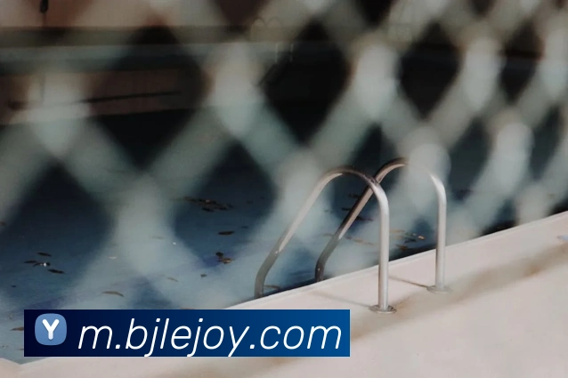 百家乐网站平台生态图